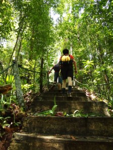 S，絕不是在說你體能不佳哦！